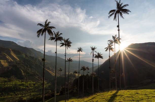 Armenia, Quindío