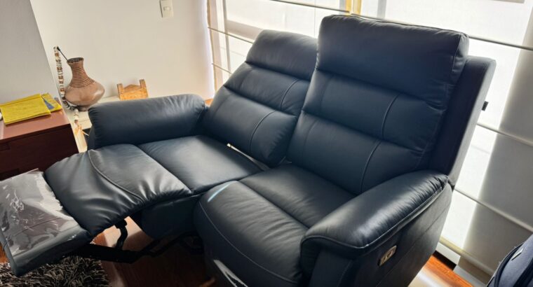 Sofá De 2 Puestos Reclinable Con Sistema Eléctrico