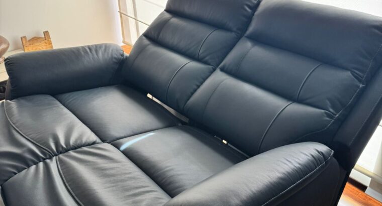 Sofá De 2 Puestos Reclinable Con Sistema Eléctrico