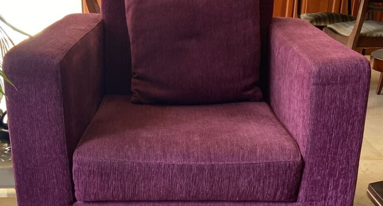 Sofá De 2 Puestos Y Poltronas Muebles De Sala
