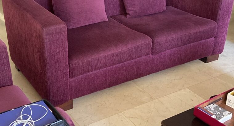 Sofá De 2 Puestos Y Poltronas Muebles De Sala