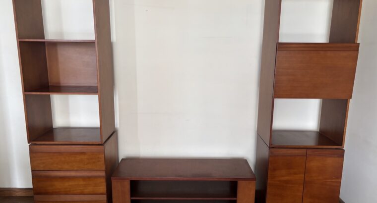 Mueble TV / Centro De Entretenimiento