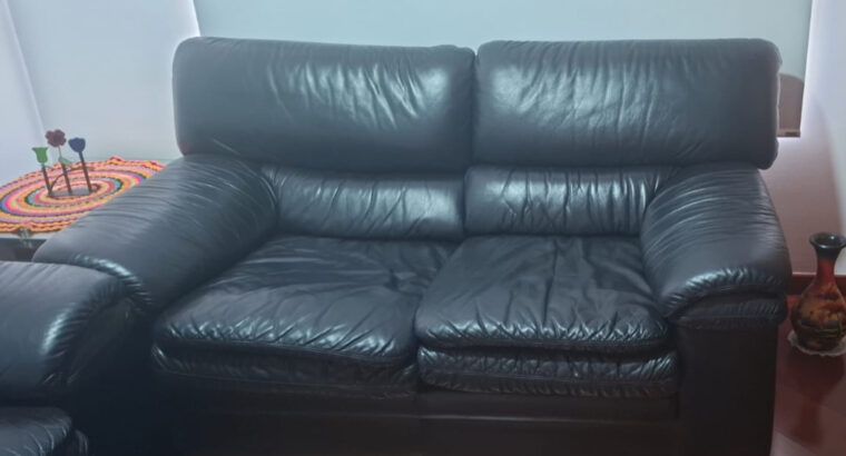 Sofas 2 Unidades. Tapizadas En Cuero.