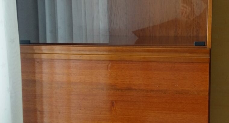 Biblioteca Con Mesa Abatible