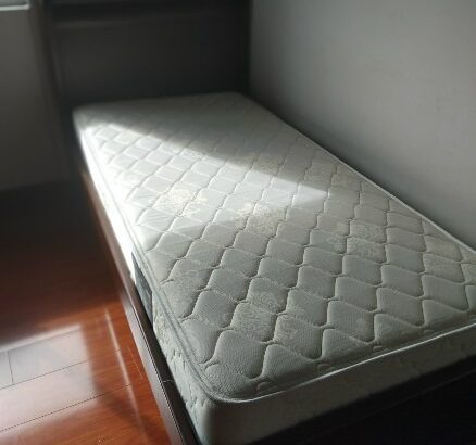 Camas Gemelas En Madera Incluye Colchones