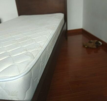 Camas Gemelas En Madera Incluye Colchones