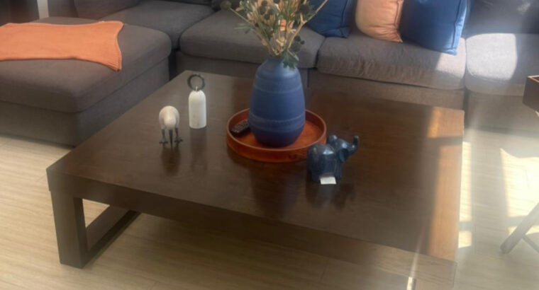 Muebles de Sala Sofá Modular En L Y Mesa De Centro