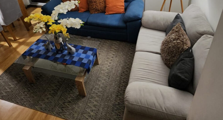 Juego de Sala Incluye 2 Sofas Y Mesa De Centro