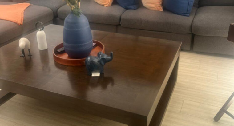 Muebles de Sala Sofá Modular En L Y Mesa De Centro