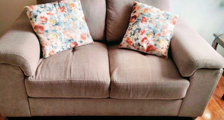 Sofá De 2 Puestos Color Gris