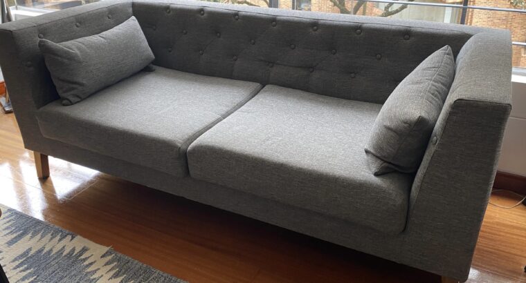 Sofá De 3 Puestos Color Gris