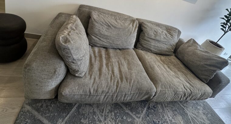 Sofá De 2 Puestos Color Gris