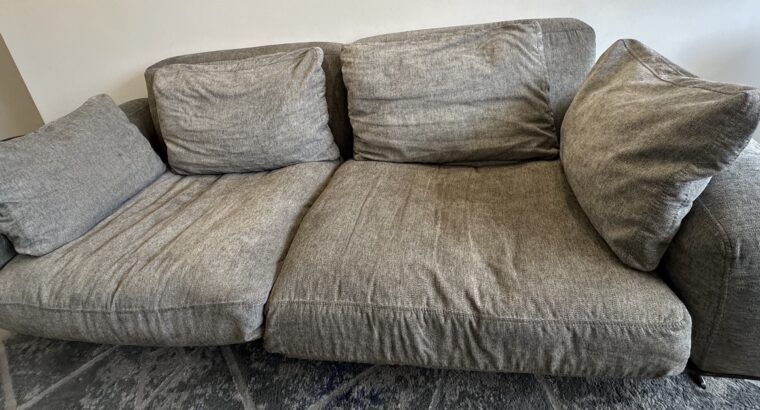 Sofá De 2 Puestos Color Gris