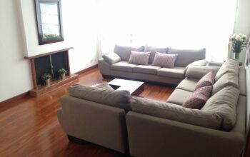 Sala Incluye 2 Sofas y Mesa de Centro