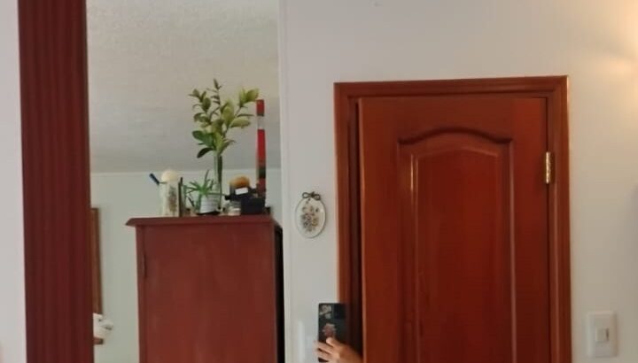 Espejo De Pared Para Entrada O Zona Social