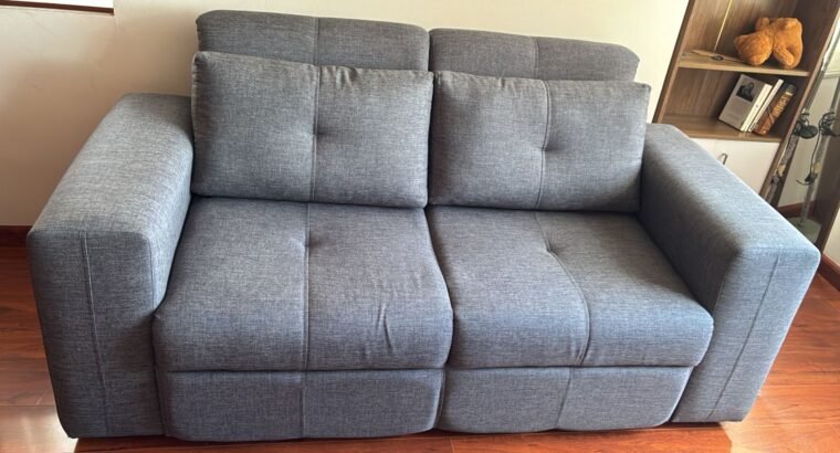 Sofá Cama Gris De 2 Puestos