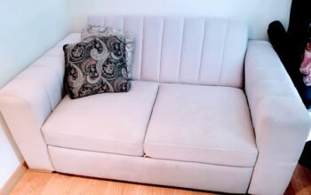 Sofá Cama Gris Claro De 2 Puestos