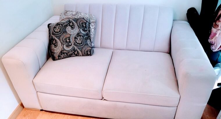 Sofá Cama Gris Claro De 2 Puestos