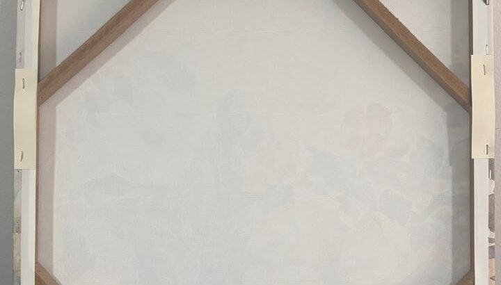 Cuadro Decorativo En Óleo (Rosa Y Blanco)